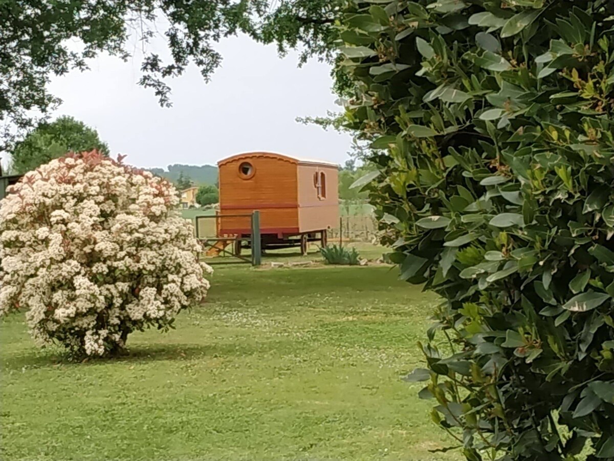 La roulotte Paulandine avec piscine et terrasse.