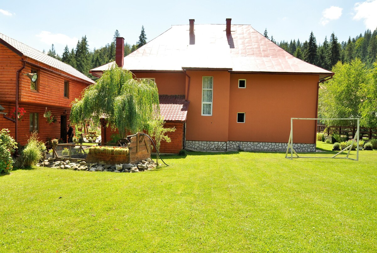 4 - Cozy 2 rooms in the heart of Apuseni Mountains