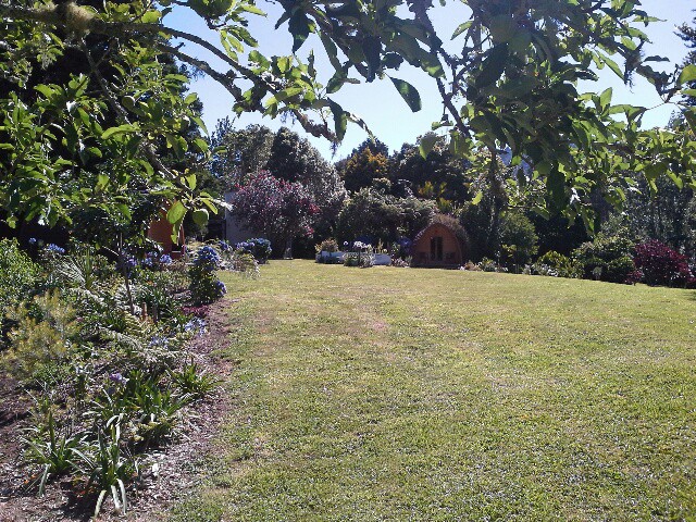 Kauri View Chalet