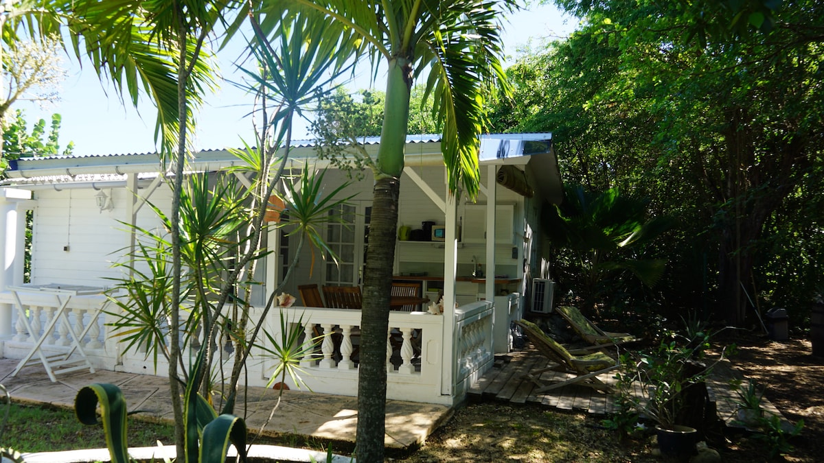 le grand palme gîte charme à grand_bourg