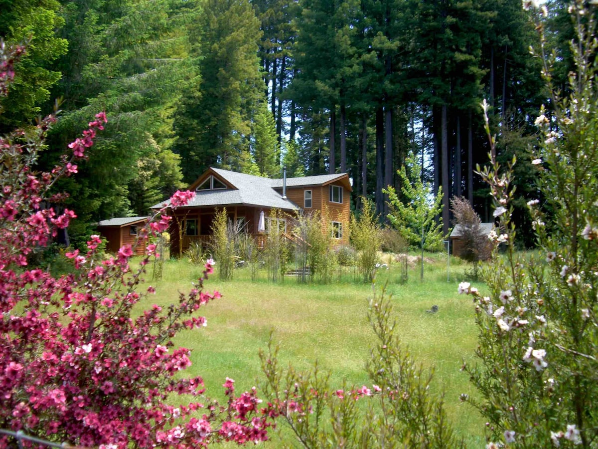 Mendocino Village附近的Meadow Wood