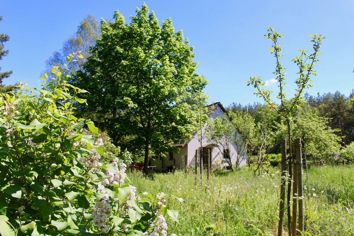 Altes Bauernhaus mitten in der Natur