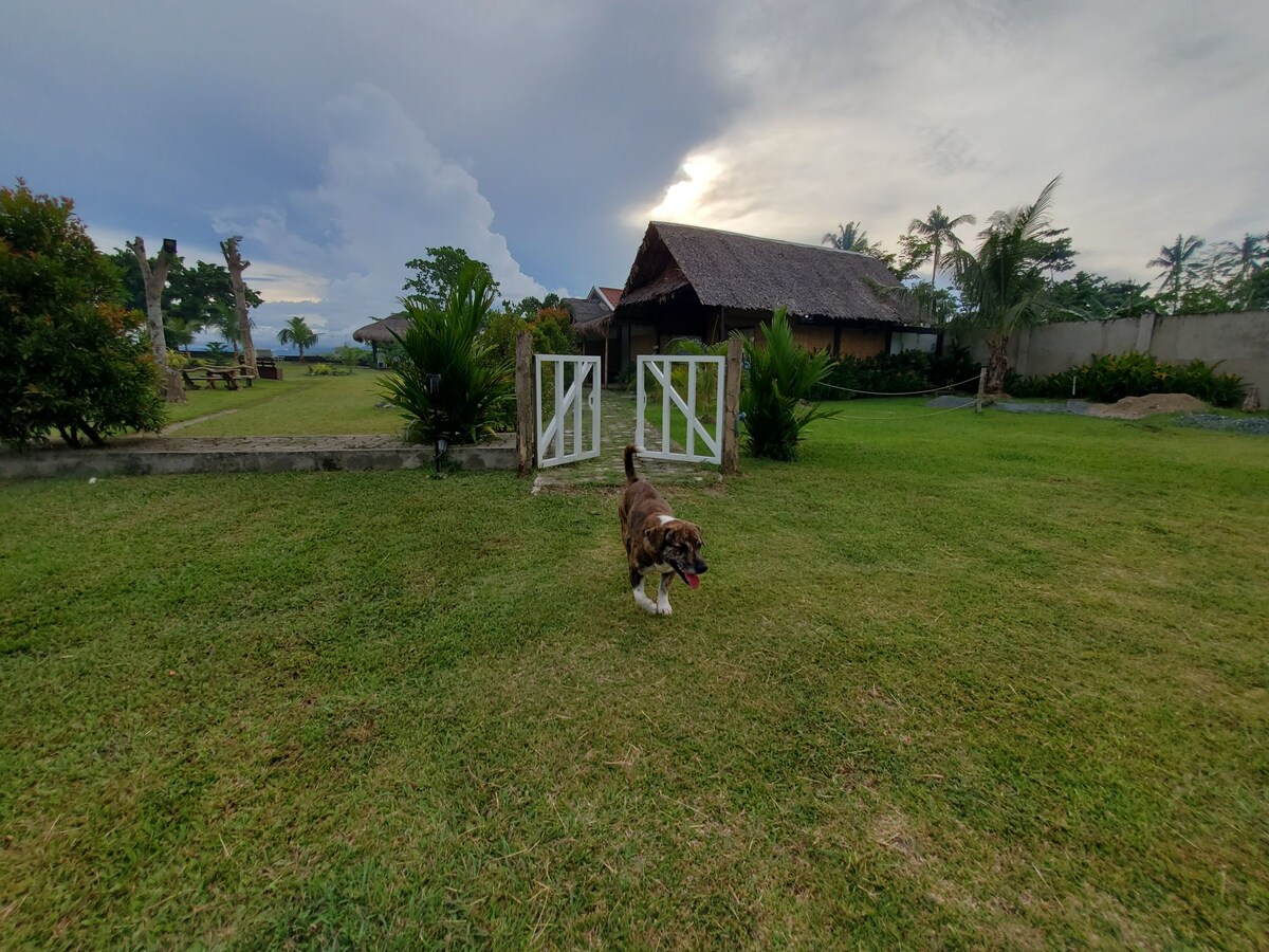 带海景和热带雨林景观的小屋