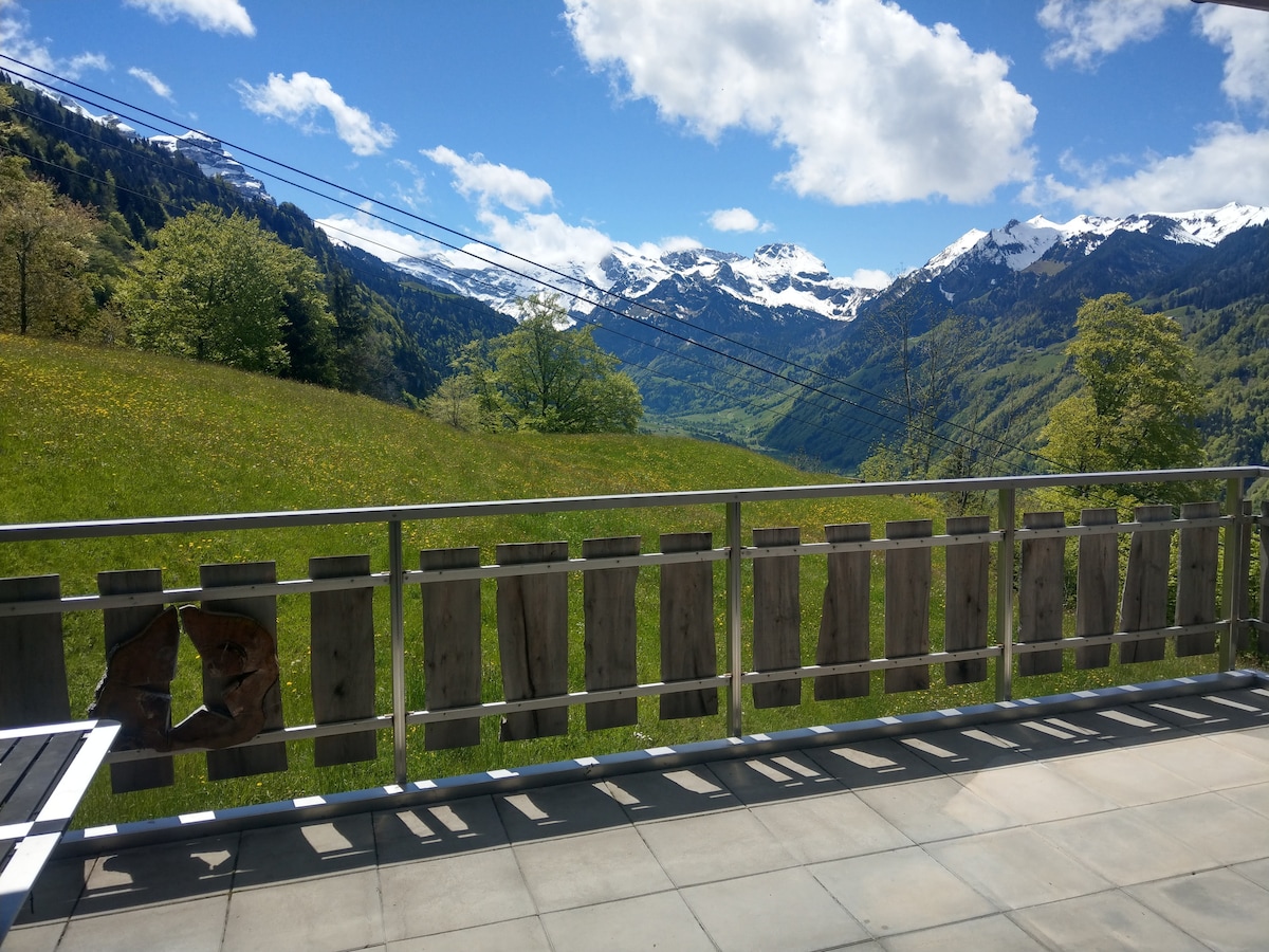 靠近恩格尔贝格（ Engelberg ）的绿洲-卢塞恩，安静，大自然