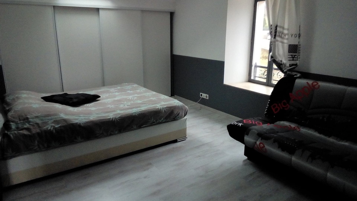 Appartement F2 de 60m2 meublé climatisé récent