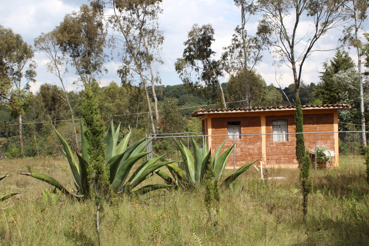 Cabaña en el bosque en rancho cervecero-culinario