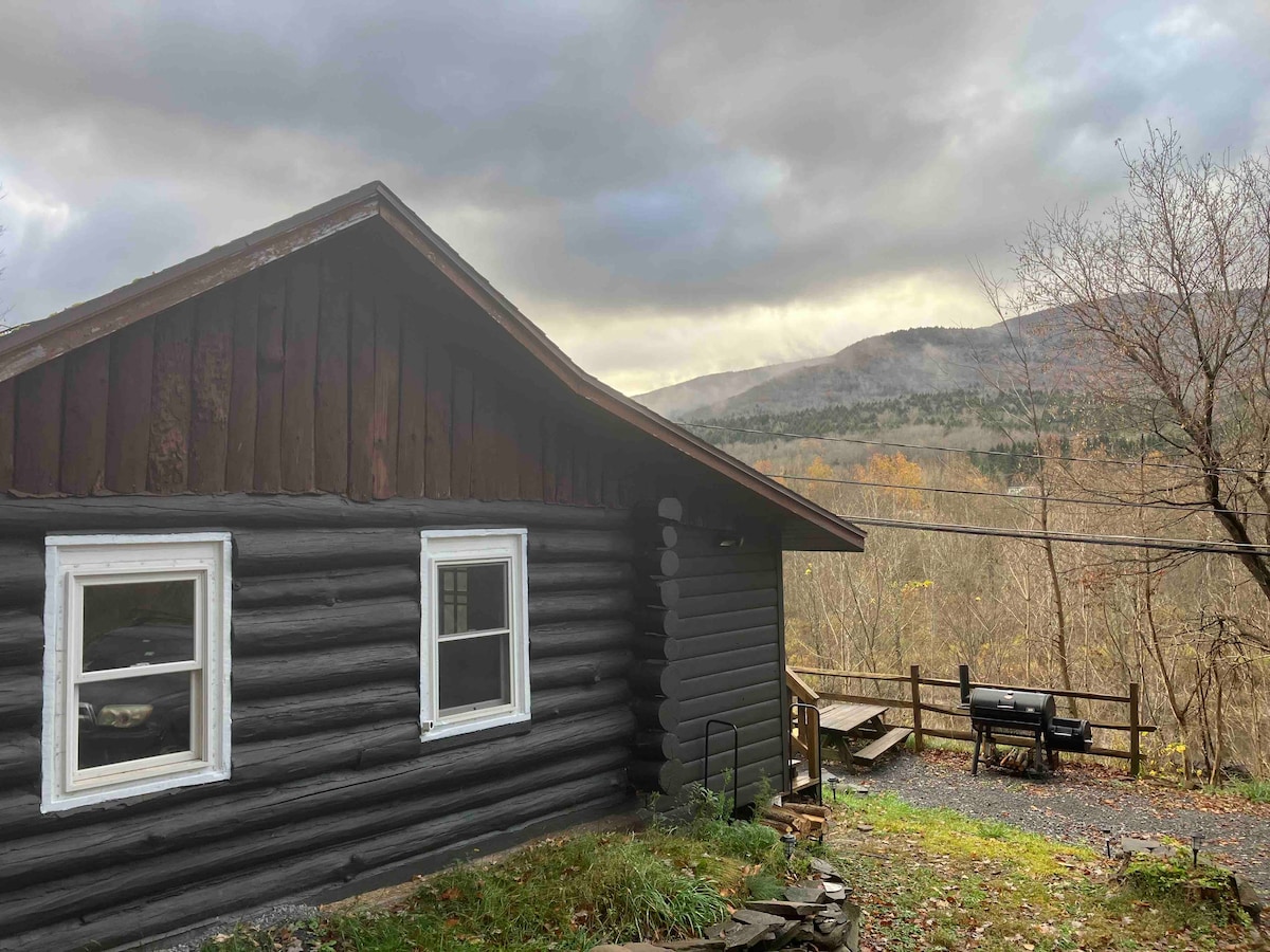 Arkville Chalet-log cabin with wood stove and view