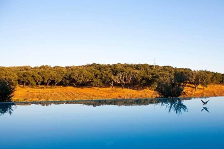 Monte Santo António, Vila Viçosa