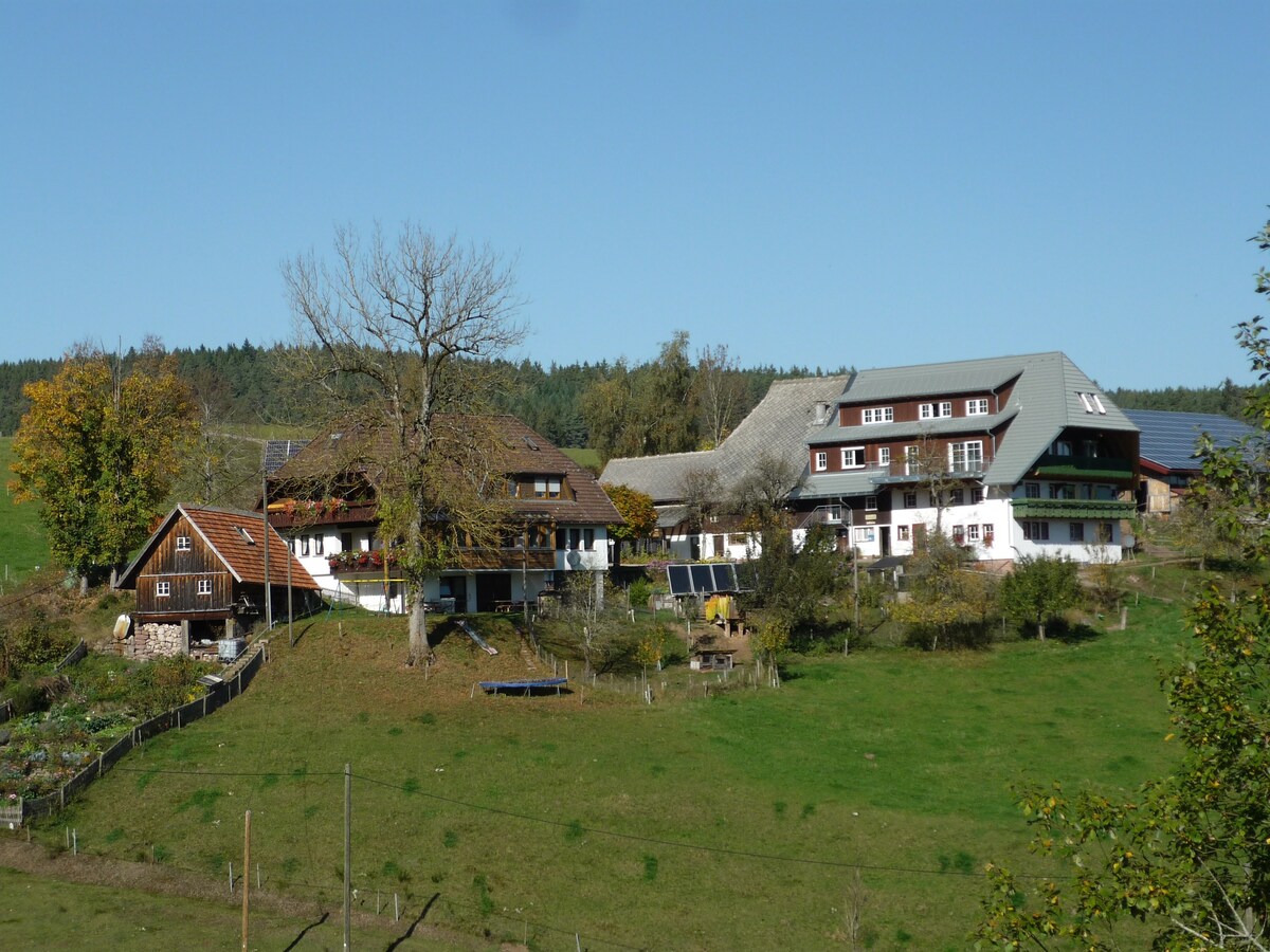 Holiday apartment on our farm in the Black Forest