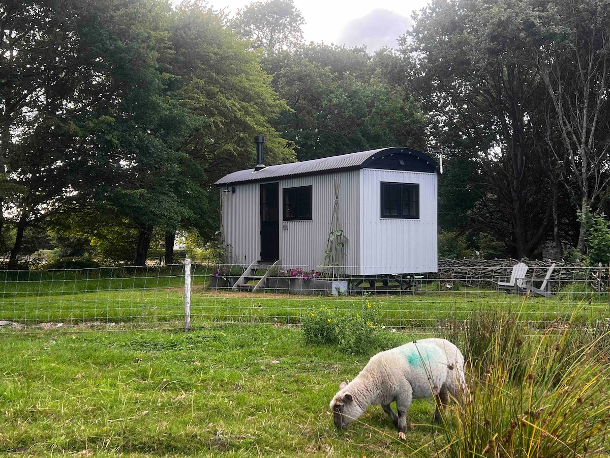 A cosy Shepherd's Hut in South Downs National Park