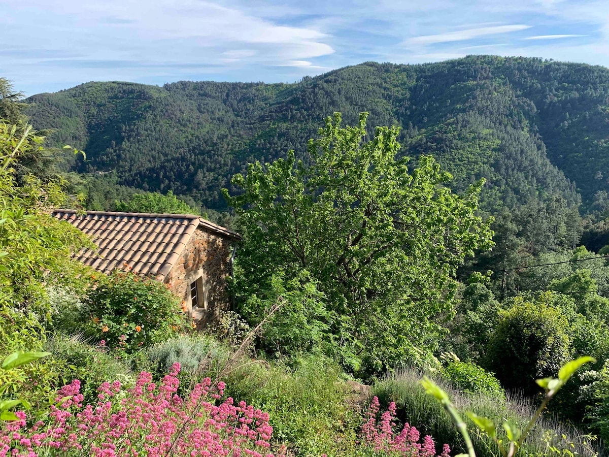 洛泽尔山（ Mont Lozère ）对面塞文尼斯正宗的马斯