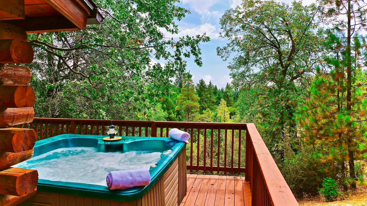 San Jacinto Lodge ：带热水浴缸的原木屋，景观！