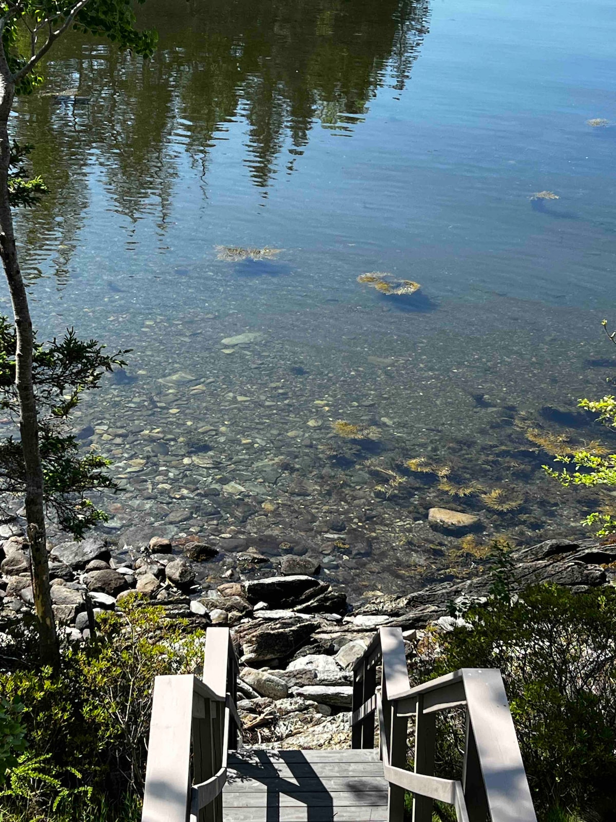 Islesboro Island Oceanfront Cottage