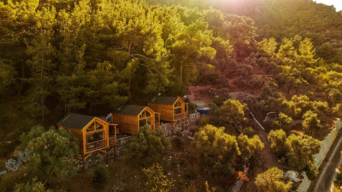 Nazarköy Safari Kamp Bungalov