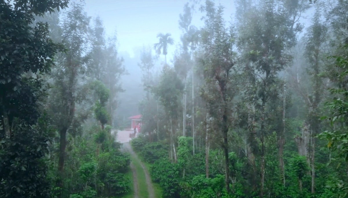 Entire Unique Villa Nearby Wayanad Forest.