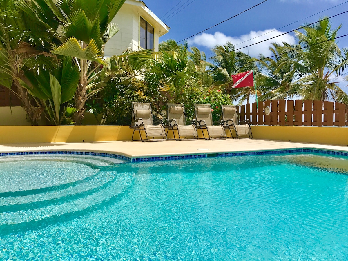 Caye Reef Oceanfront Penthouse