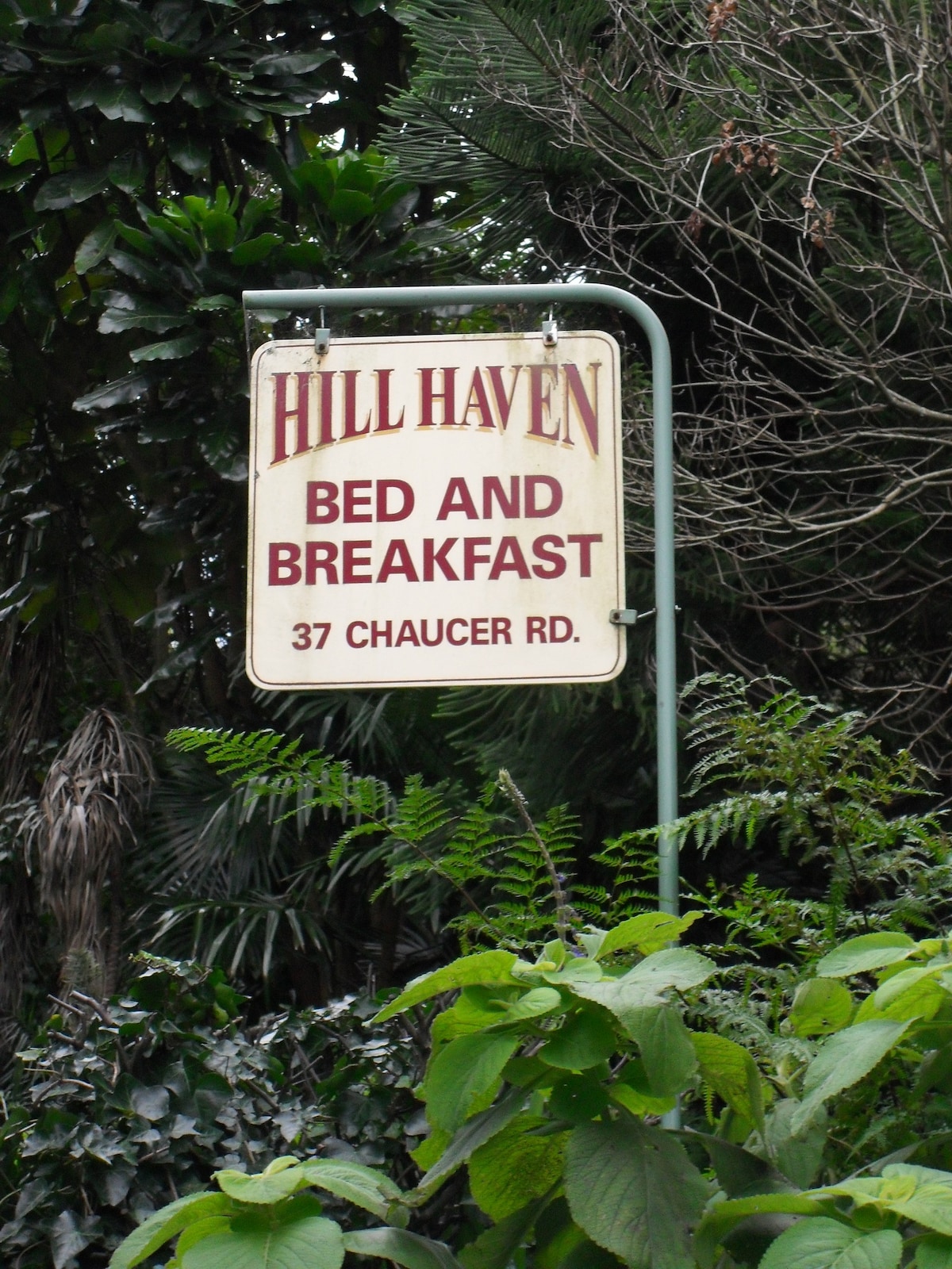 位于新西兰纳皮尔的Hillhaven （ 2号房间）住宿加早餐