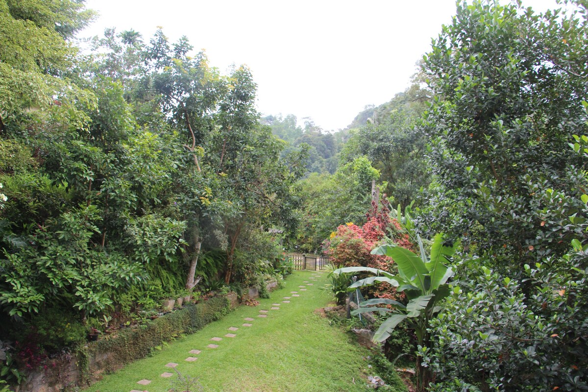 Kadugannawa民宿， Kandy。双人间