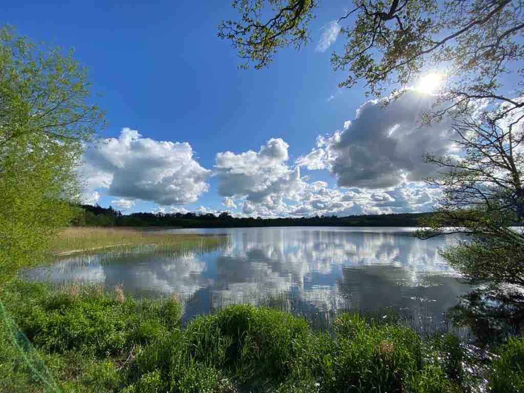 Lisnabrague Lodge Glamping Pods - The Pheasants Pen