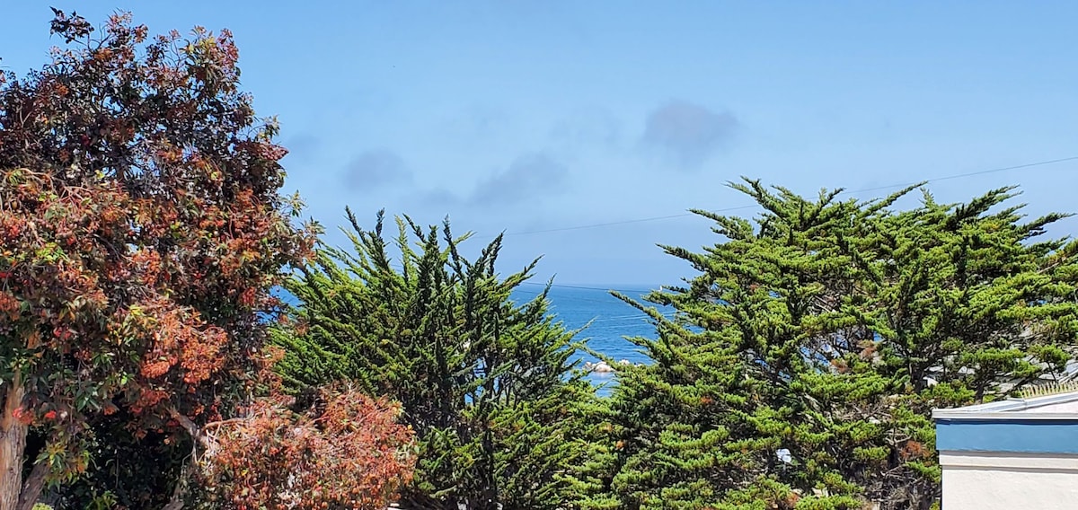 Ocean Views from this 1 br + Studio home