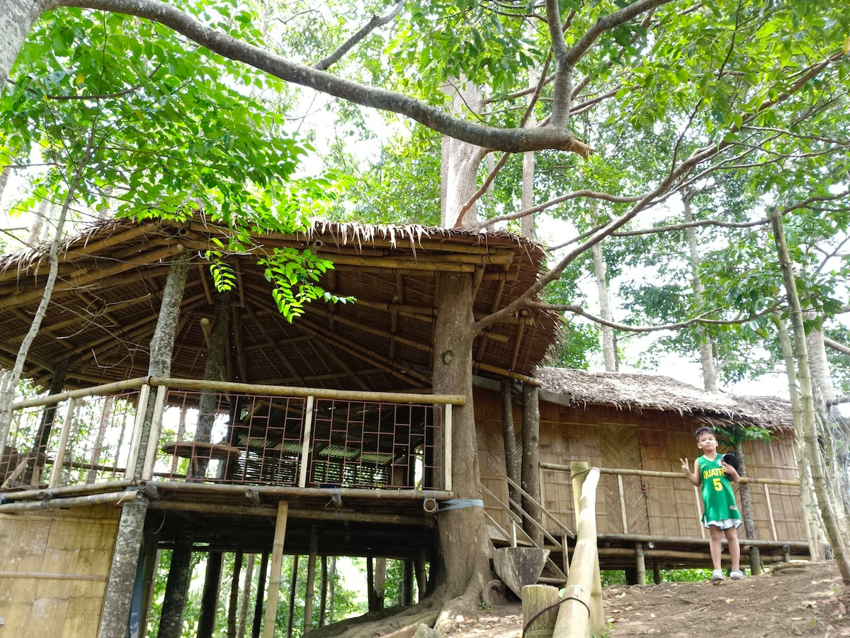 Sombria's Tree House