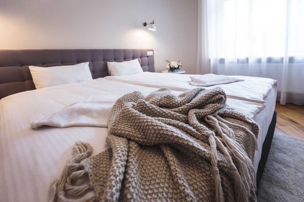 RIGA LUX APARTMENTS - SKOLAS: Premium one bedroom