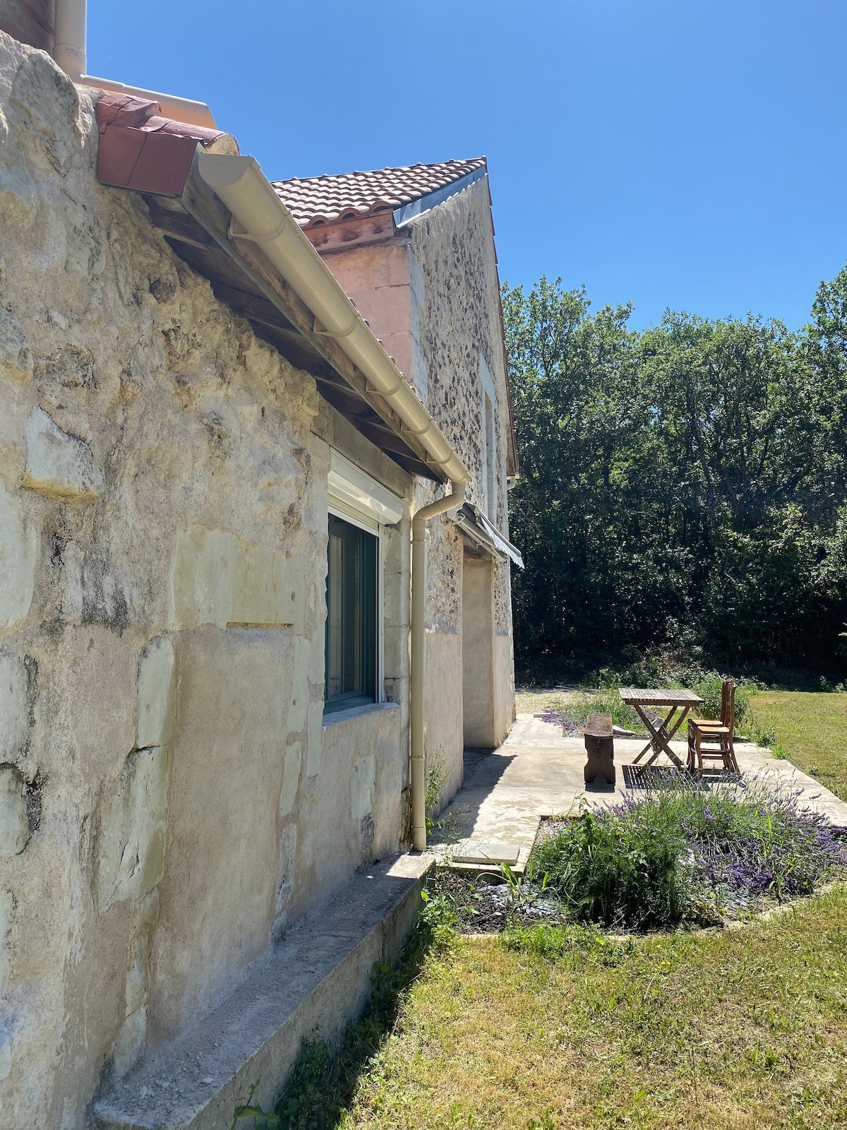 Maison dans une clairière au milieu des bois