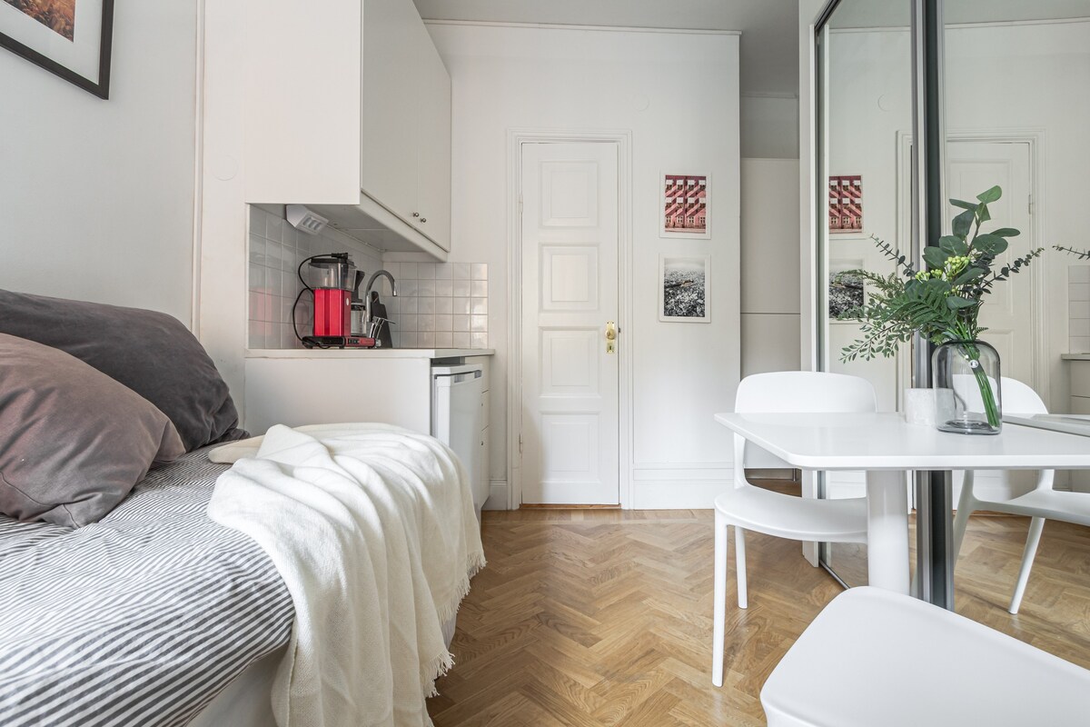 斯德哥尔摩市中心可爱的单间公寓