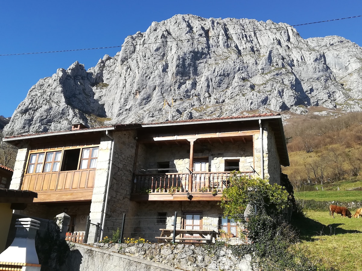 Cangas de Onis附近的Casa Rural En Picos de Europa