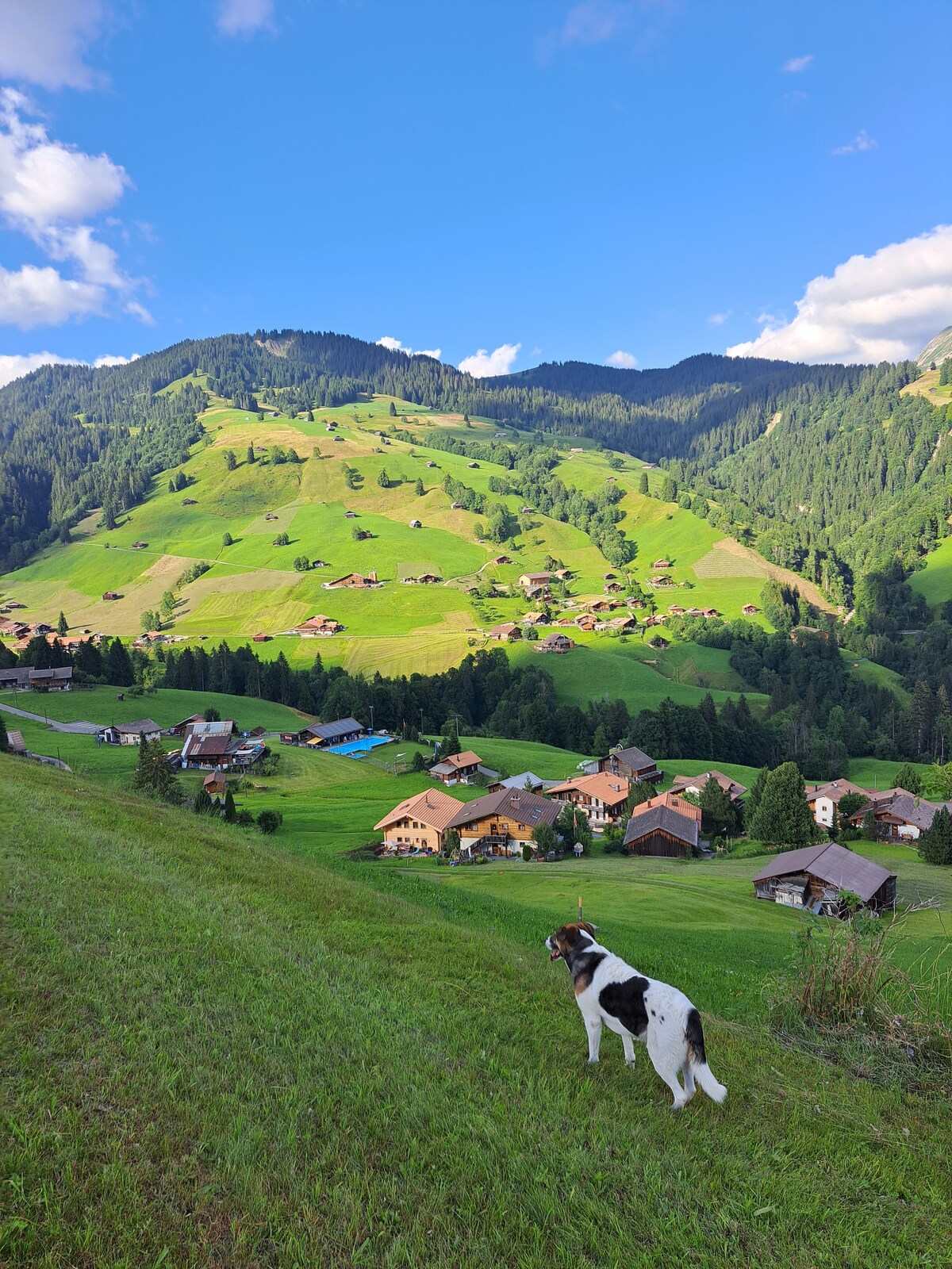 位于阿尔卑斯山脉上部因特拉肯（ Interlaken ）的90平方米木质度假木屋阁楼。