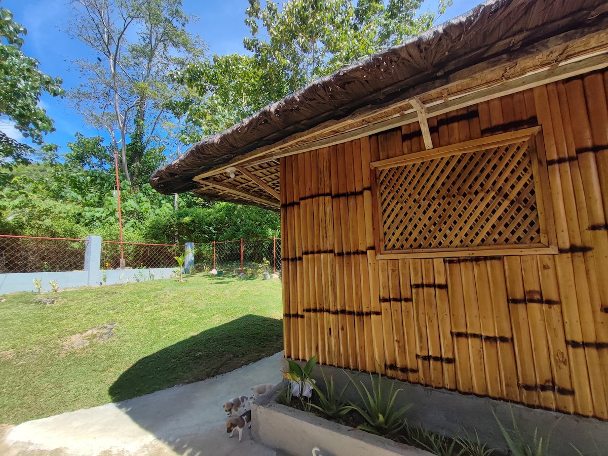Eco Friendly Bamboo Room