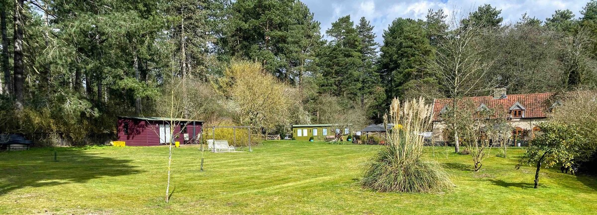 Under the Damson Tree Cabin