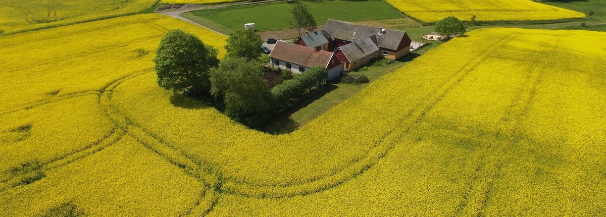 Farmhouse Evigheten, Ystad