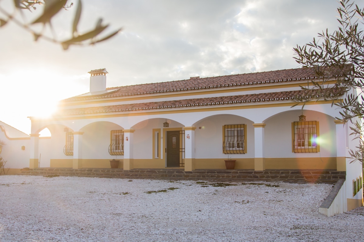 Quinta Manuel Luís, leisure Alentejano