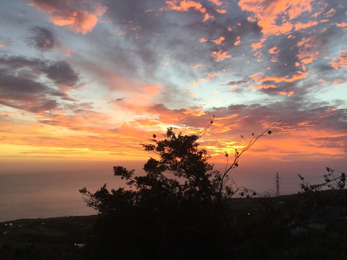 Nid perché à : Réunion