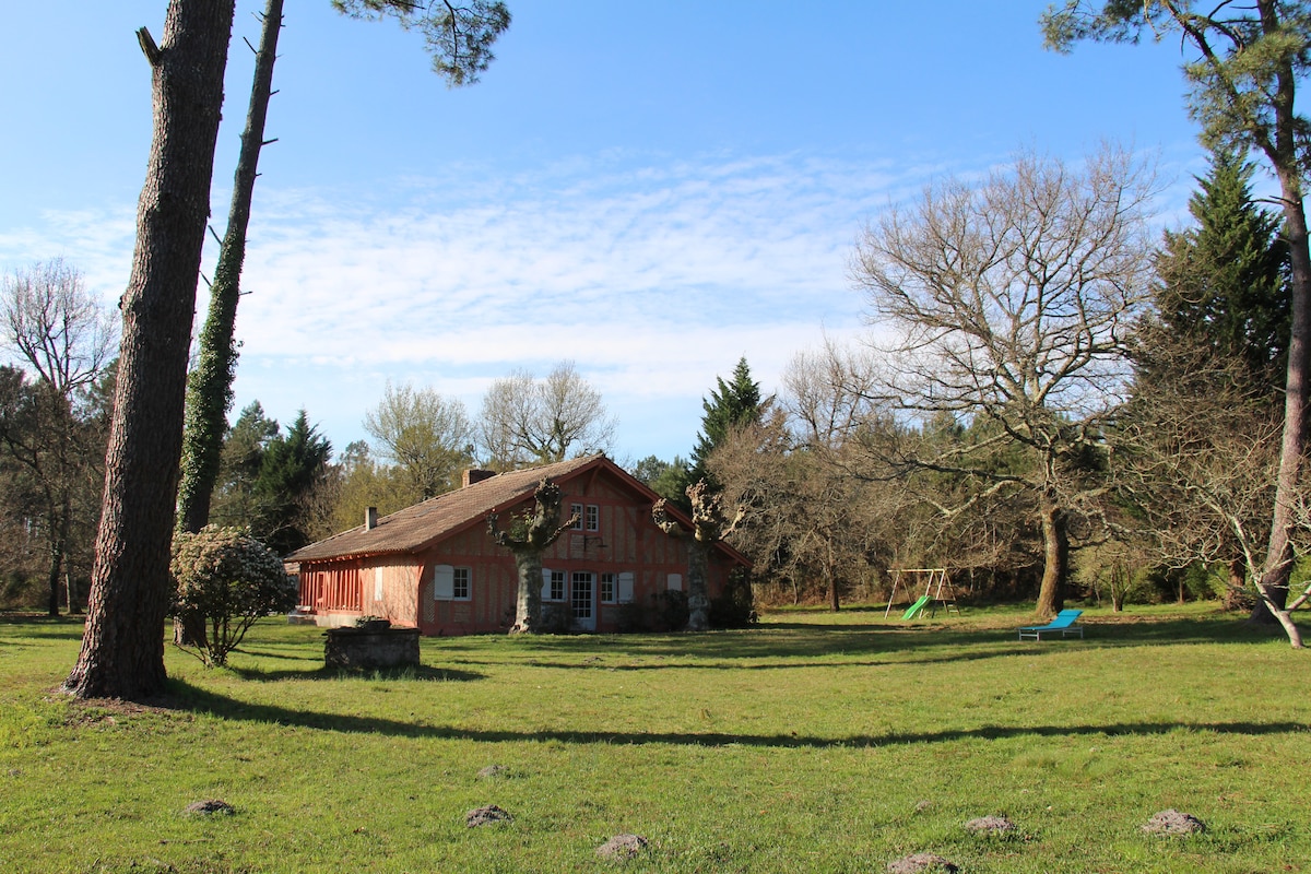 Traditionnal renovated house in a pine forest