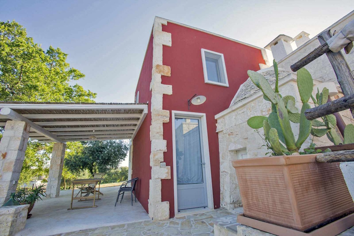 Casa Carrubo with pool in in Itria Valley