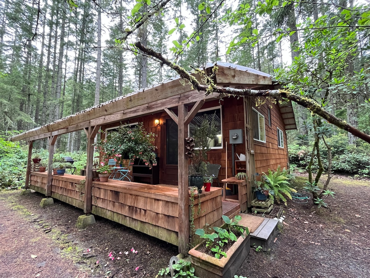 Langley附近森林中的舒适小木屋