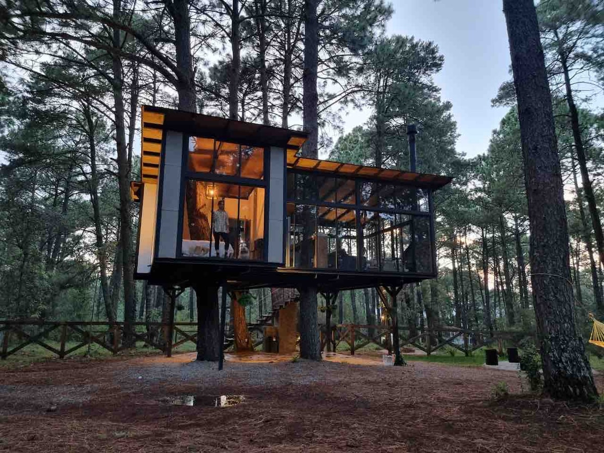 The Nest, Tree Cabin, Tapalpa A.