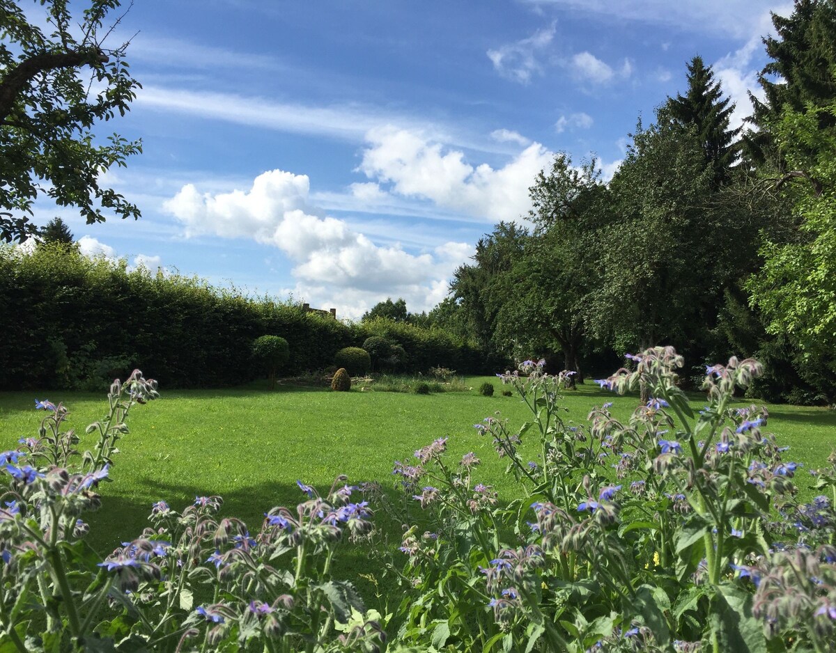 Flair Hotel Grüner Baum ， （ Donaueschingen ） ，舒适的三人间