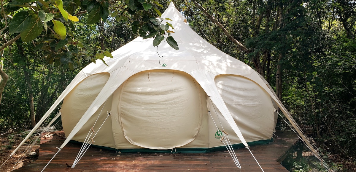 在丛林中体验可持续的豪华露营