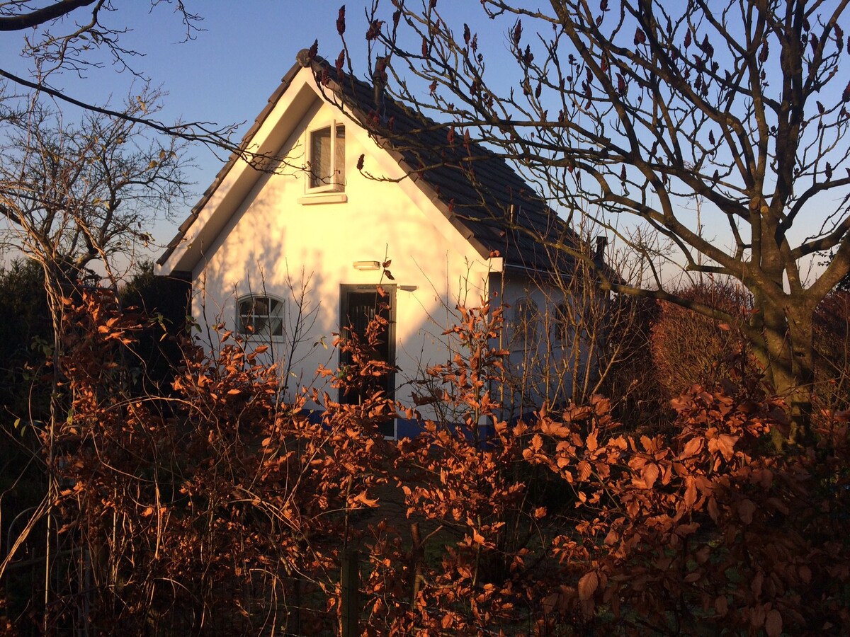 Deventer附近乡村的独立乡村小屋