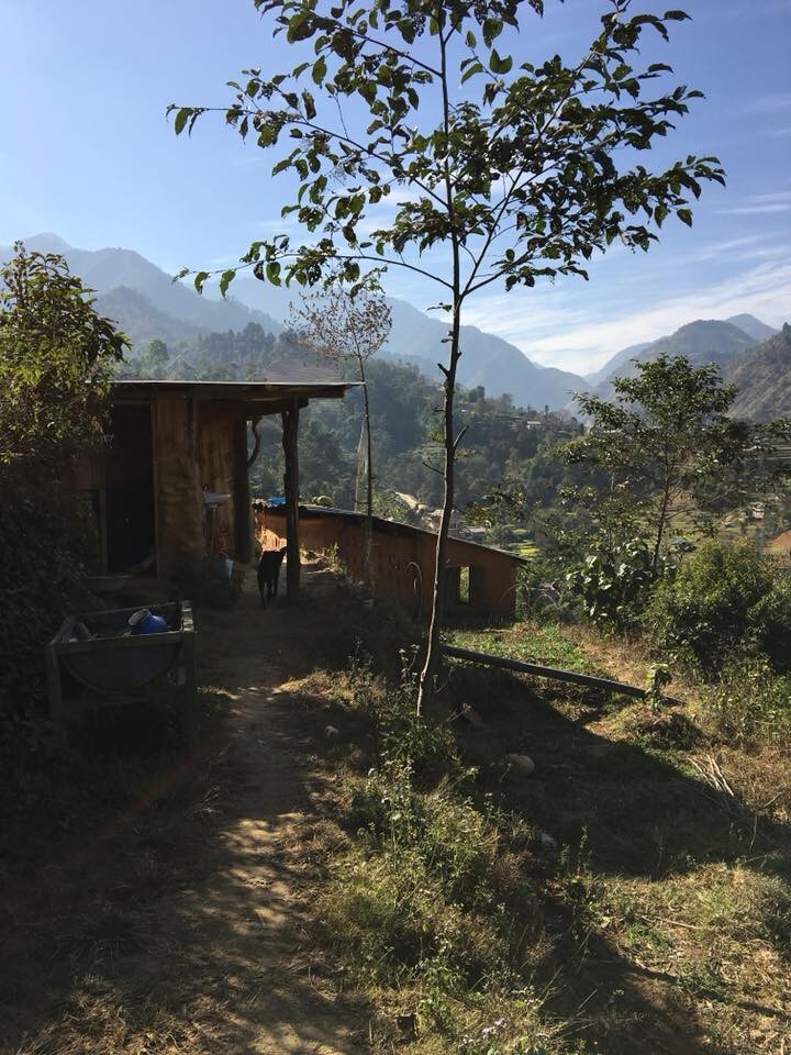 传统尼泊尔村庄。有机农场旅舍