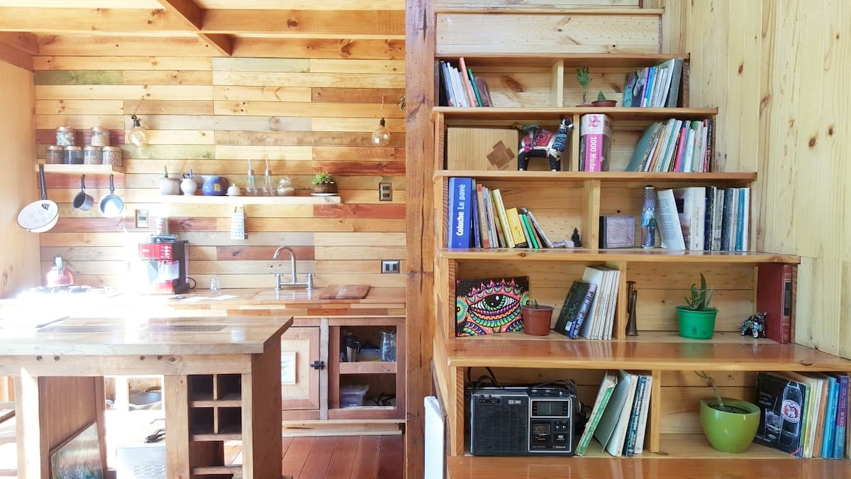 宁静和自然：舒适的木制设计小木屋