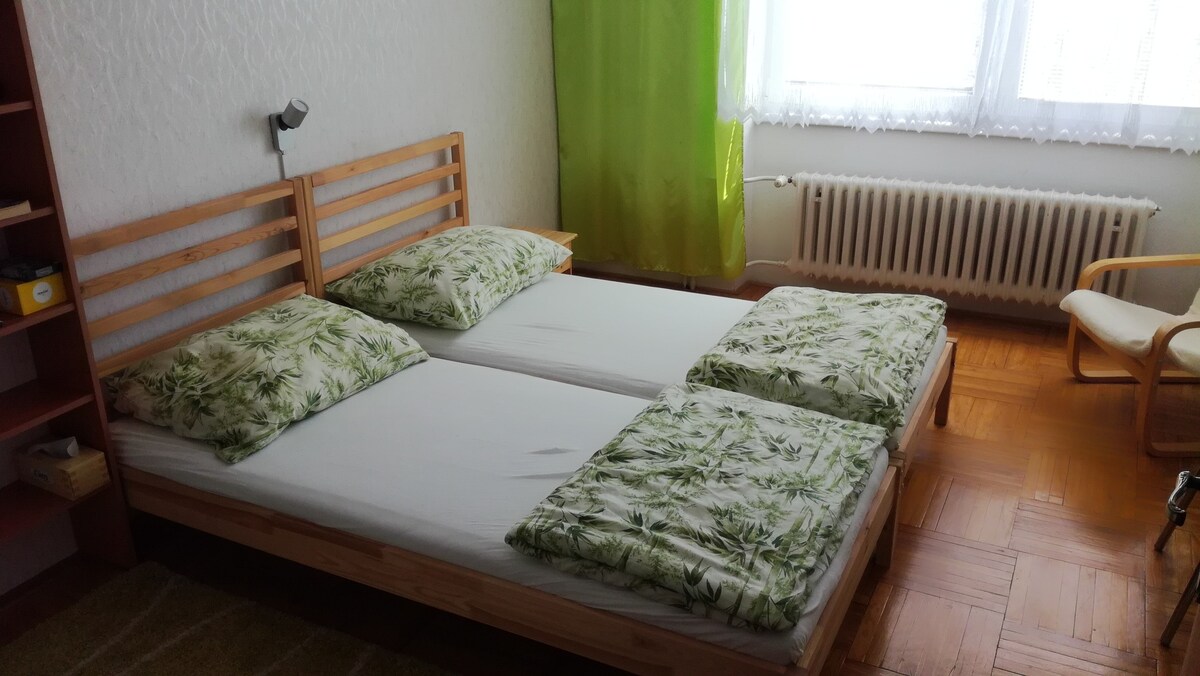 莫赫尔尼察（ Mohelnica ）的绿色房间