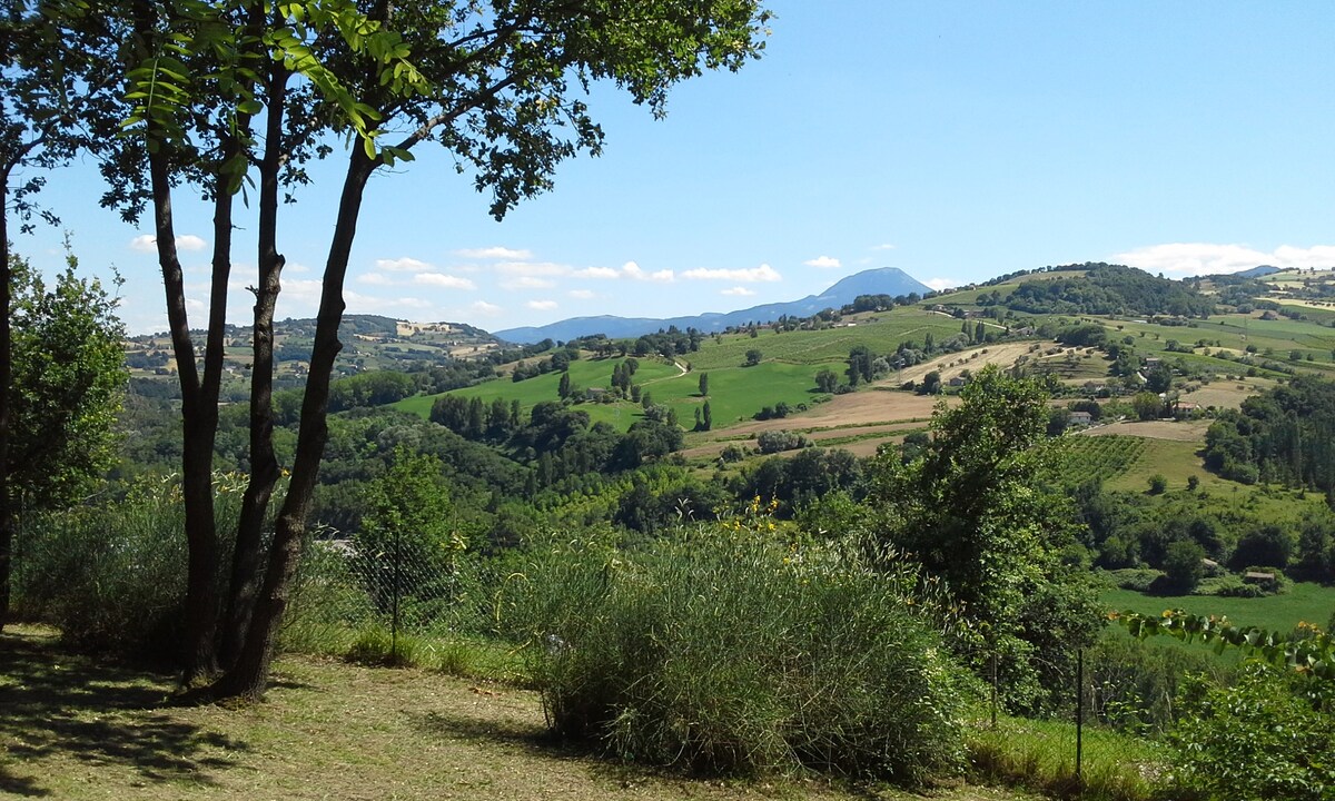 Apartment Acacia in Italian countryside