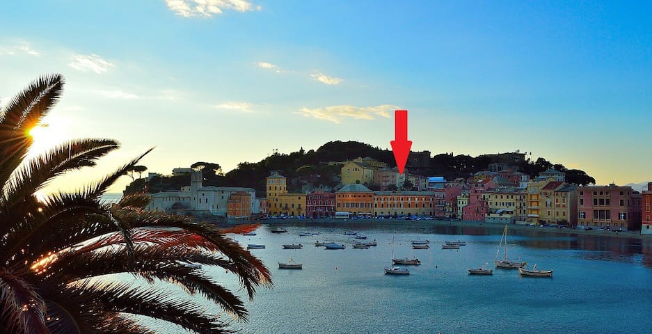 塞斯特里莱万泰 (Sestri Levante)的民宿