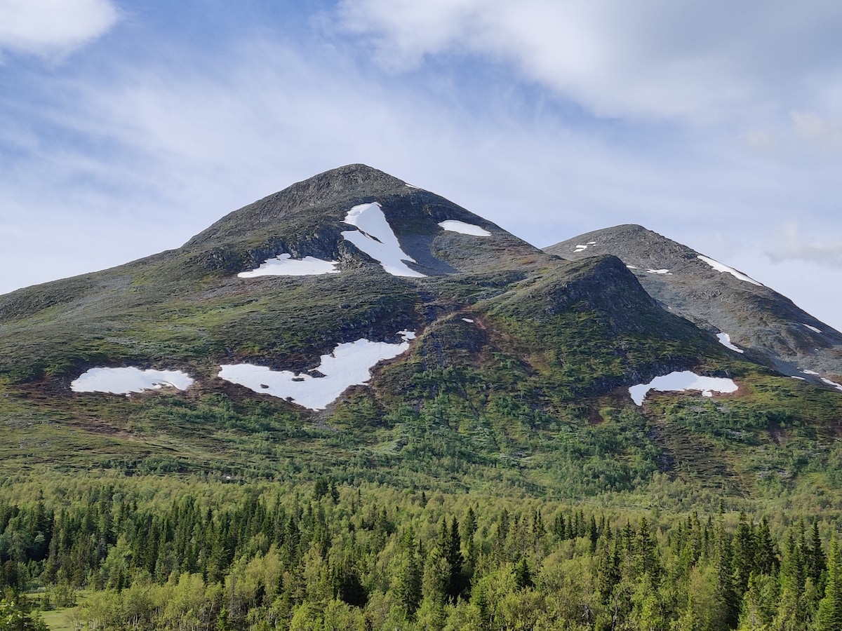 预订Borgafjäll -山边小屋出租