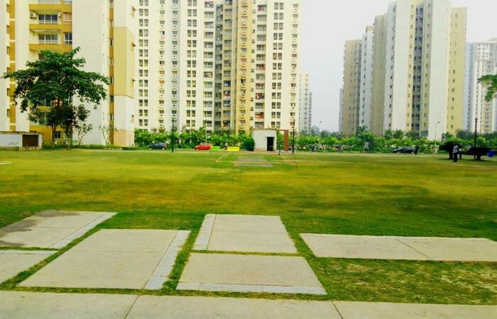 Out of the busy city with Garden and covered grass