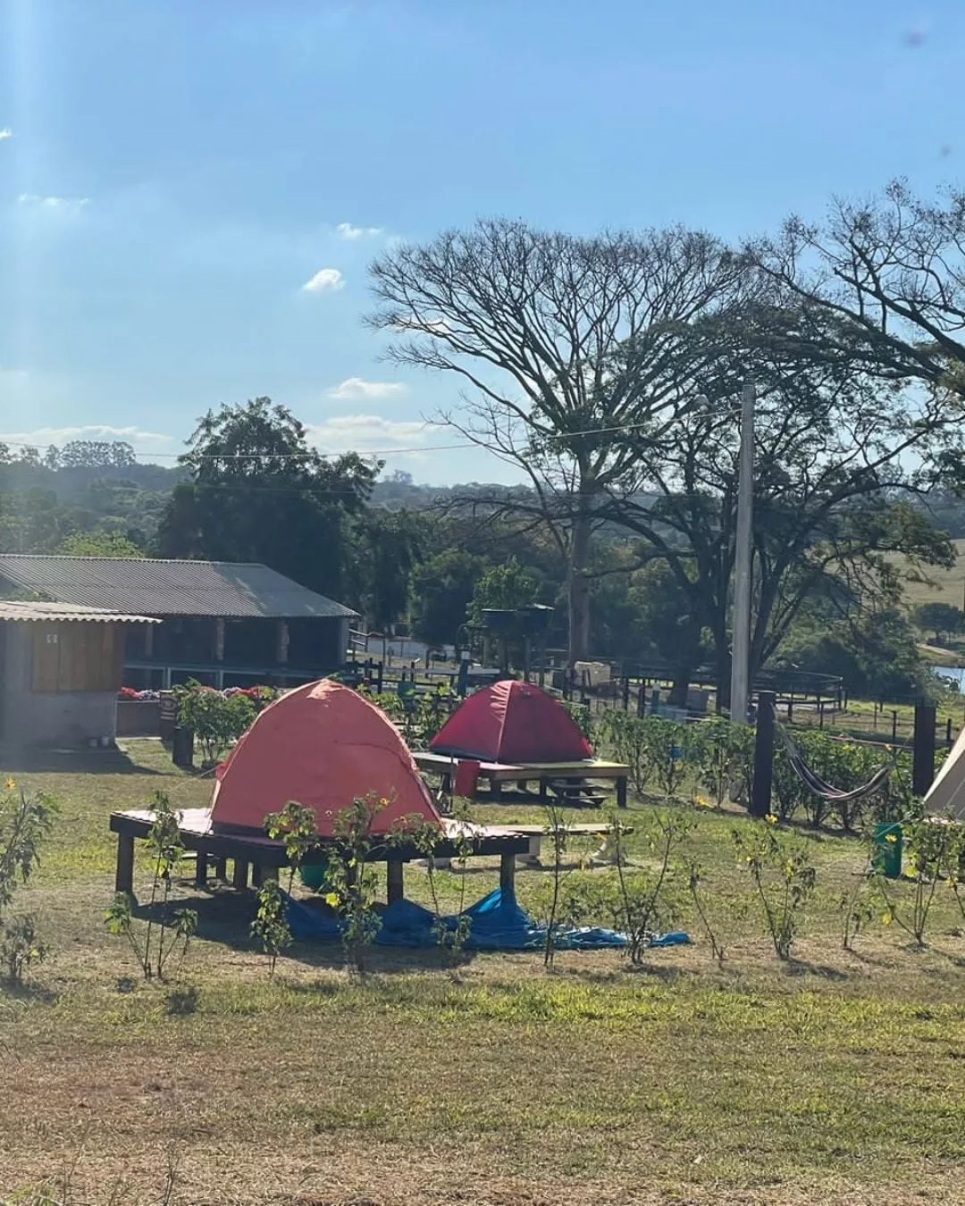 Camping rural, cavalos e mini cavalos. (espaço 2)